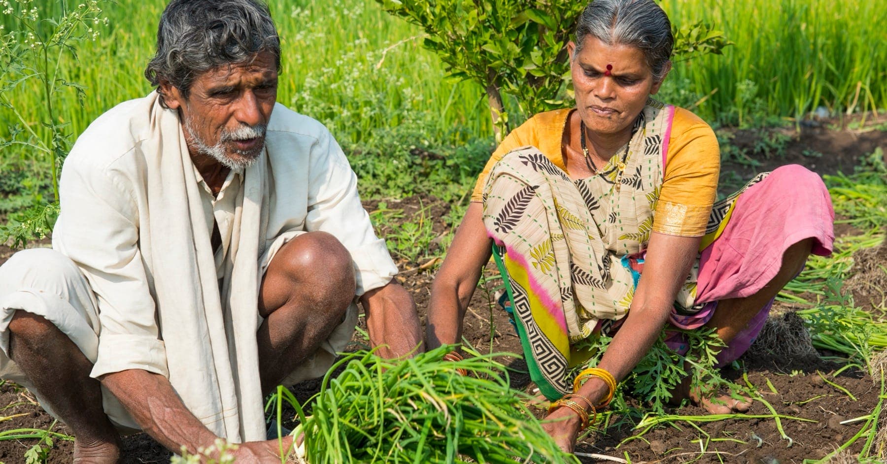farmers
