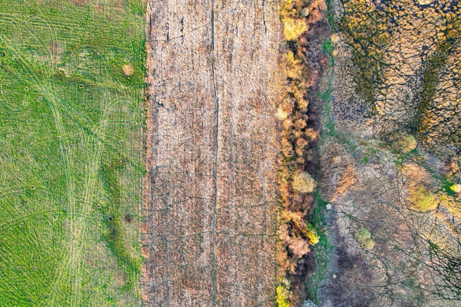Aerial view showing the contrast between healthy farmland and climate-stressed land