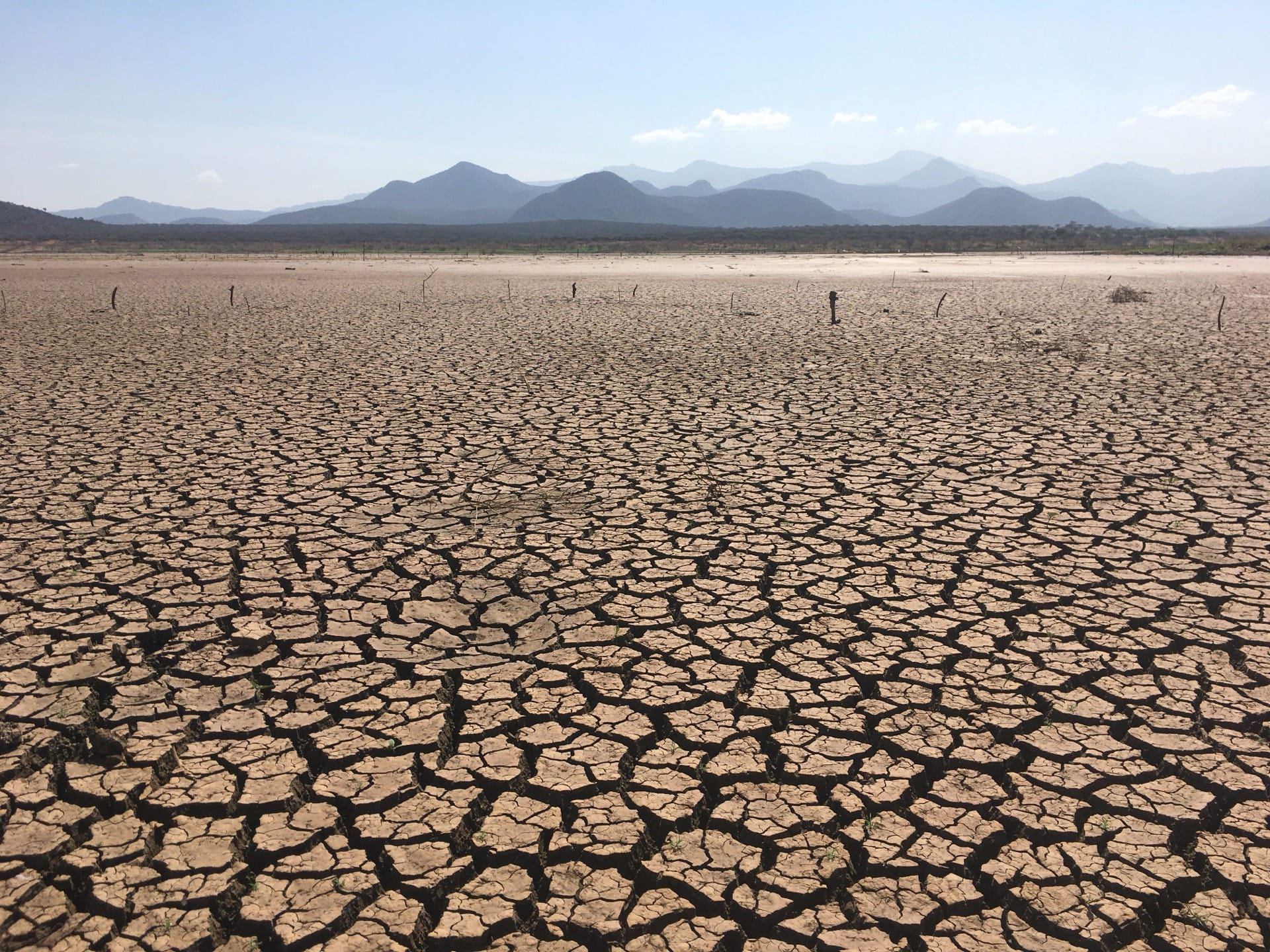 How Drought Has Become India's Largest Agricultural Financial Risk